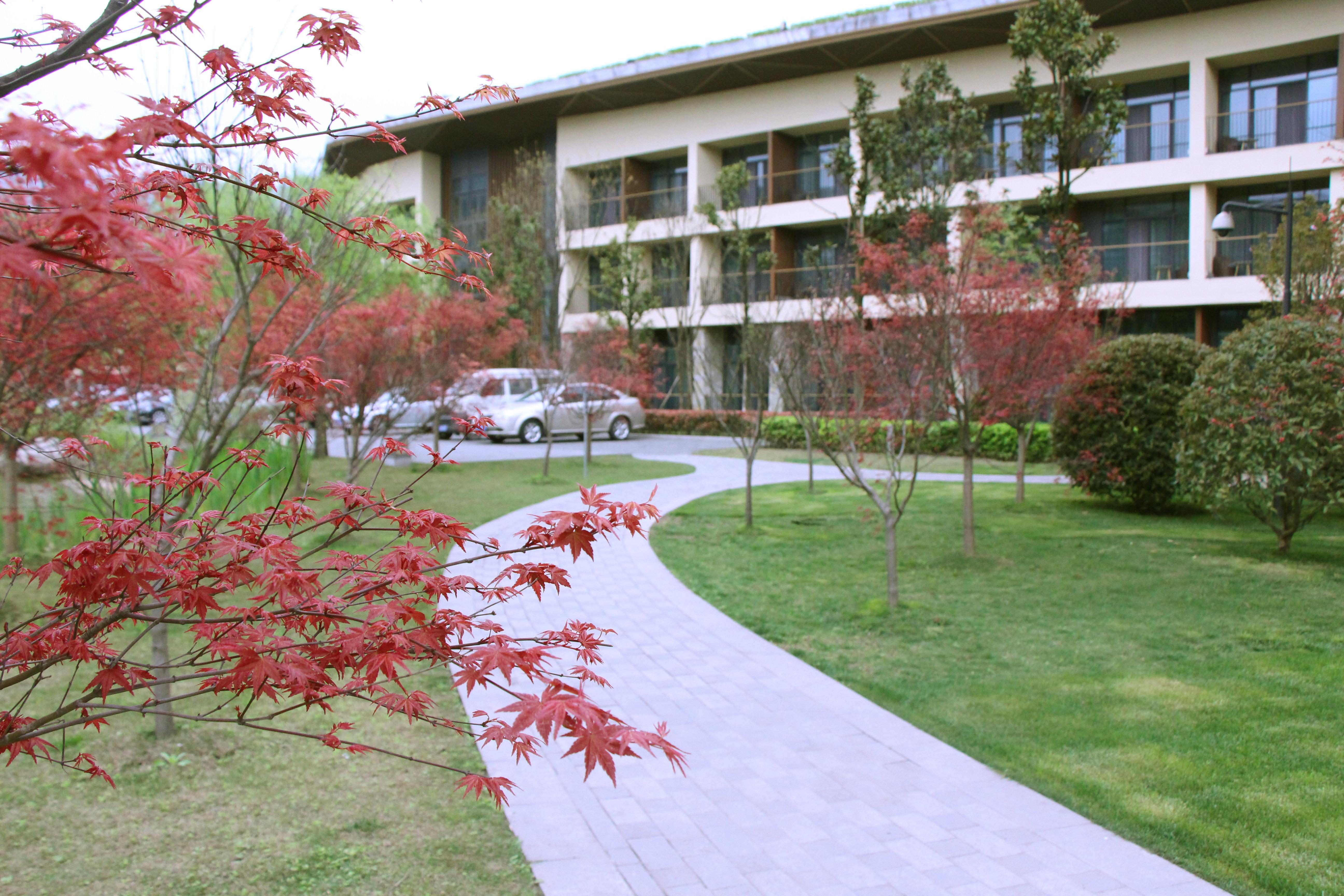 Holiday Inn Express Emei Mountain By Ihg Emeishan Dış mekan fotoğraf
