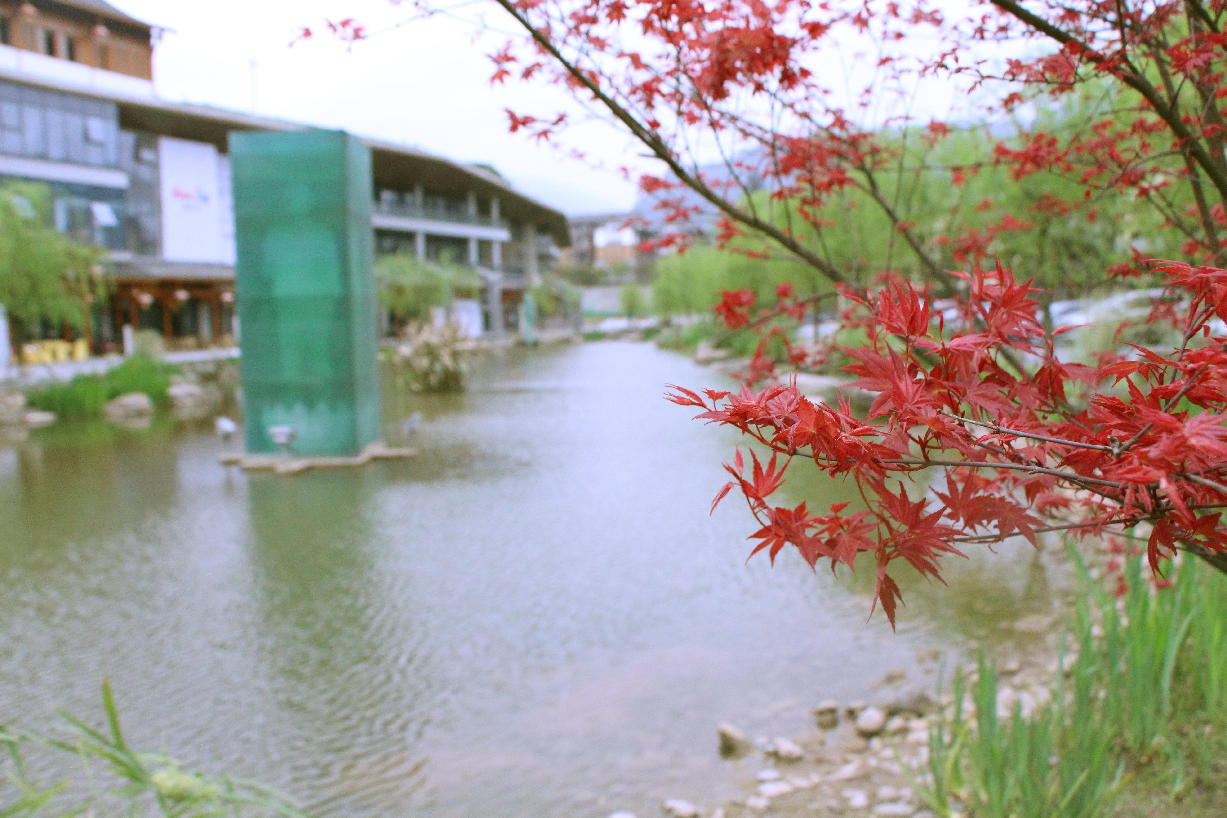 Holiday Inn Express Emei Mountain By Ihg Emeishan Dış mekan fotoğraf
