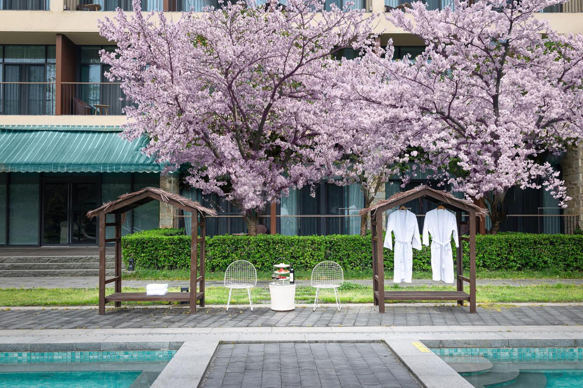 Holiday Inn Express Emei Mountain By Ihg Emeishan Dış mekan fotoğraf